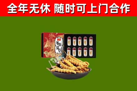 尼木回收冬虫夏草价格