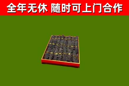尼木回收海参